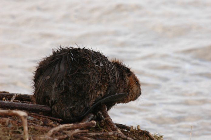 3416324798_660cbd2106_o