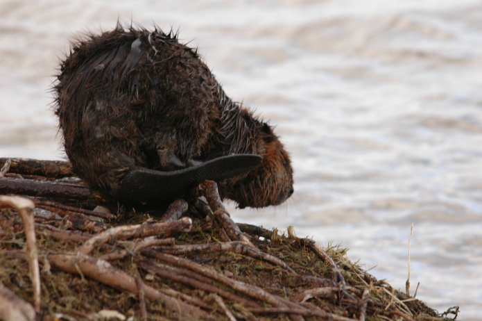 3416325822_814bce072d_o