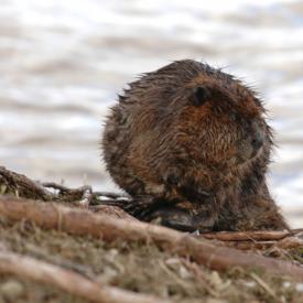 3416327650_c7da68afb5_o