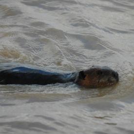 3416329558_07bb657899_o