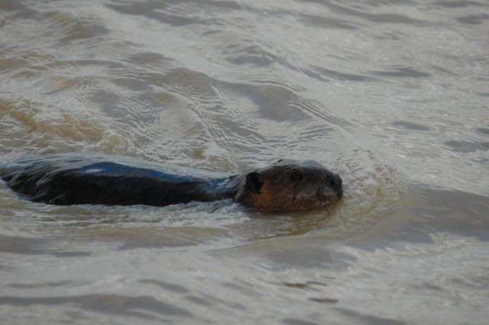 3416329558_07bb657899_o