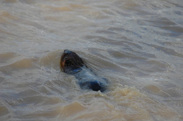 3416331976_8c706f3945_o