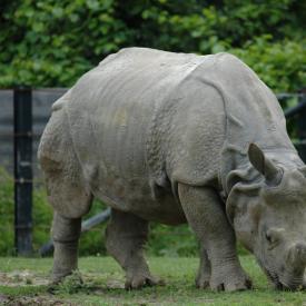 3694201595_4c1229b028_o