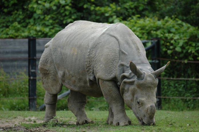 3694201595_4c1229b028_o