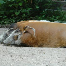 3694204441_883fc64224_o