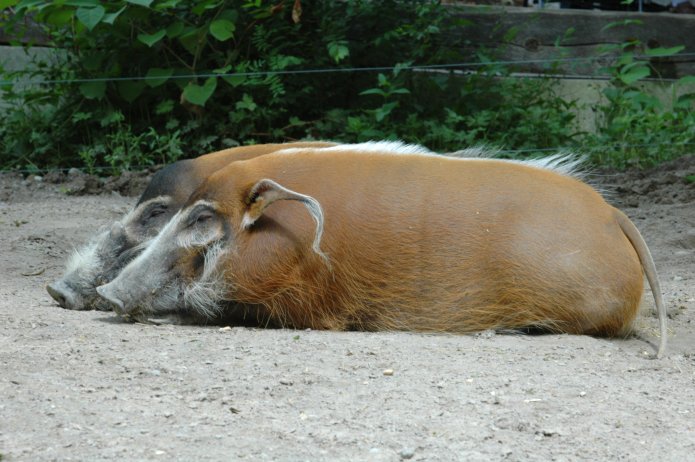 3694204441_883fc64224_o