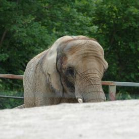 3694209781_d275ccb48d_o