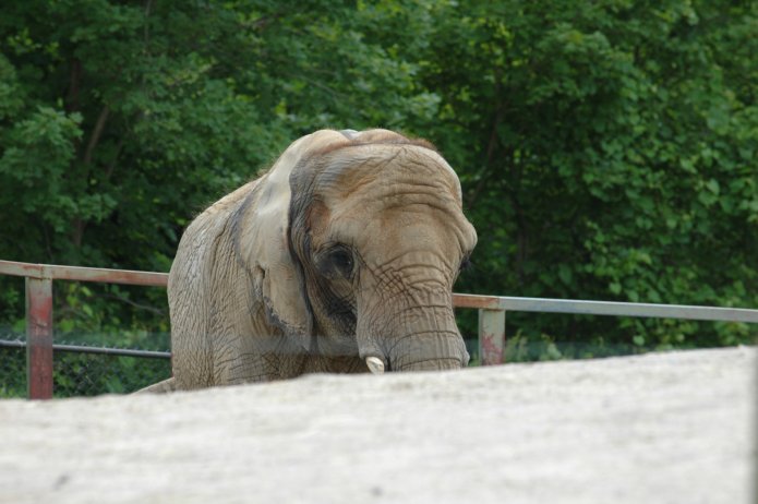 3694209781_d275ccb48d_o