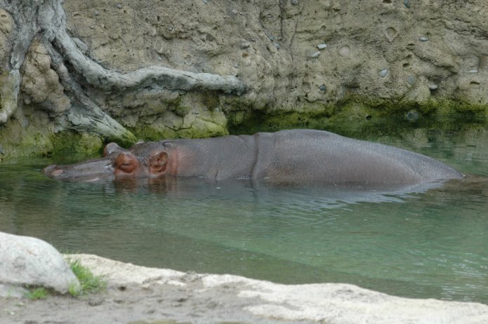 3694212193_c8a979d098_o