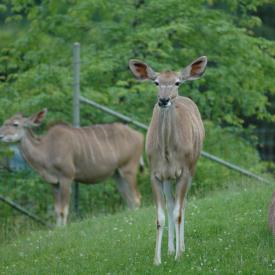 3694224569_992500da7c_o