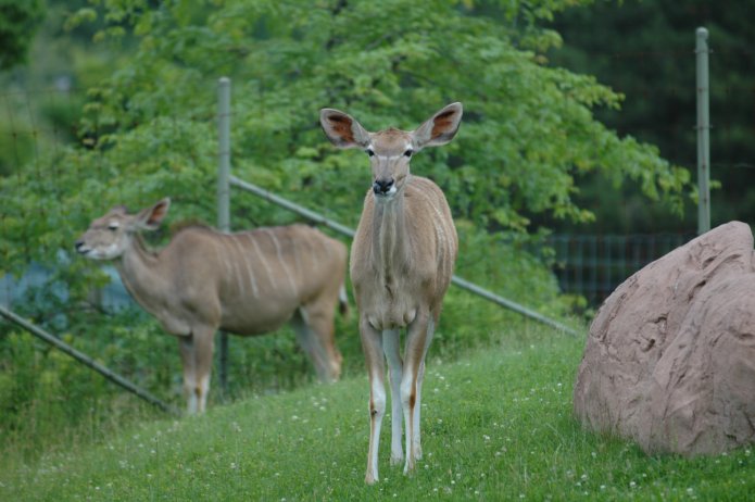 3694224569_992500da7c_o