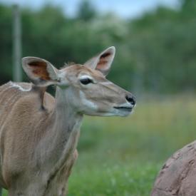 3694228379_720d916ab4_o