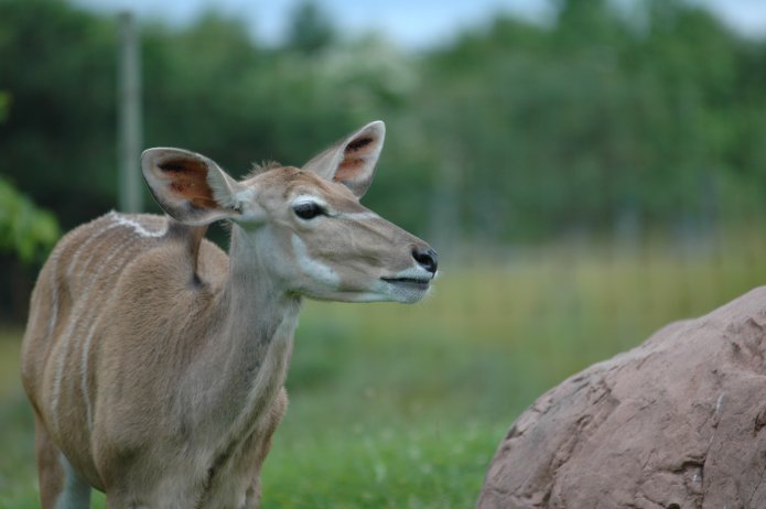 3694228379_720d916ab4_o