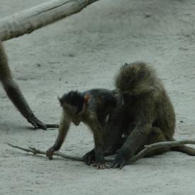 3694237867_169e1989df_o