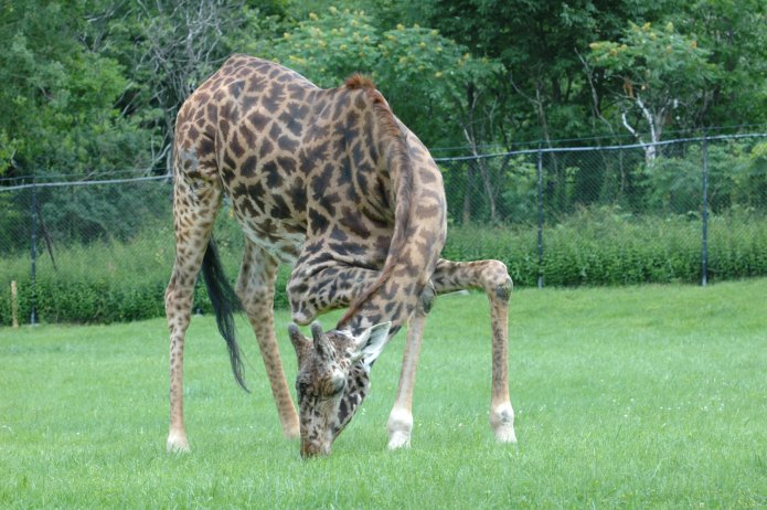 3694242575_e52b922a4d_o