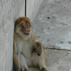 3694257023_60cc87e7d6_o