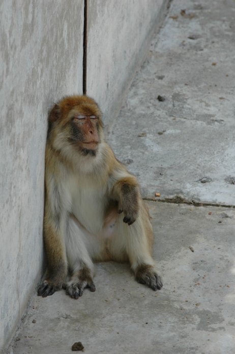 3694257023_60cc87e7d6_o