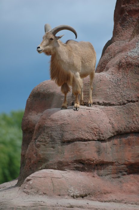 3694259469_331b849561_o