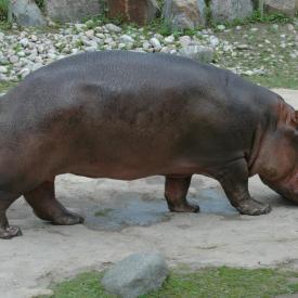 3695024674_6fba8a37ef_o