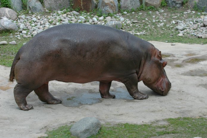 3695024674_6fba8a37ef_o