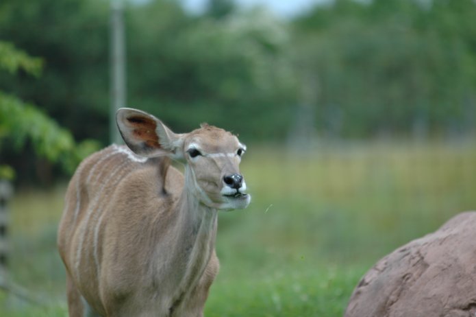 3695033750_ca30e10575_o