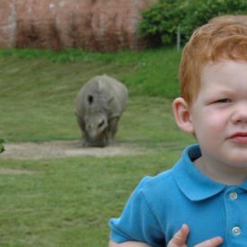 3695038498_d1e3a3be8b_o