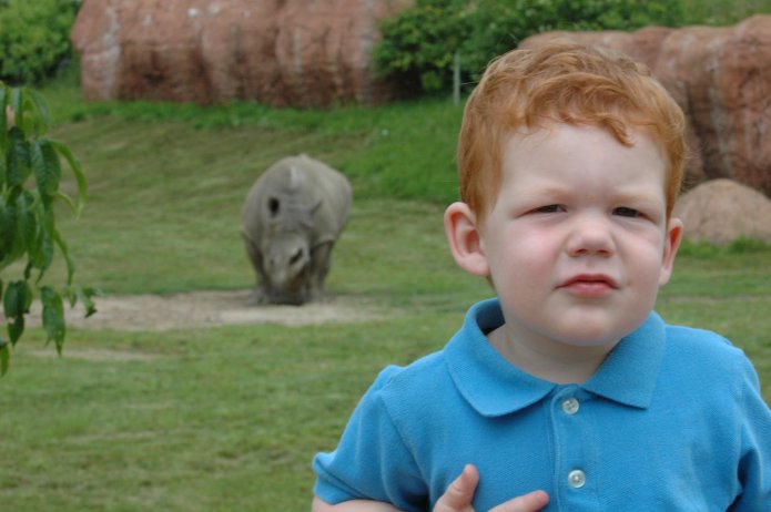 3695038498_d1e3a3be8b_o