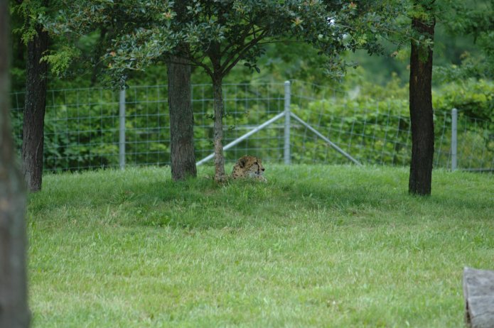 3695040734_eb6e37af31_o