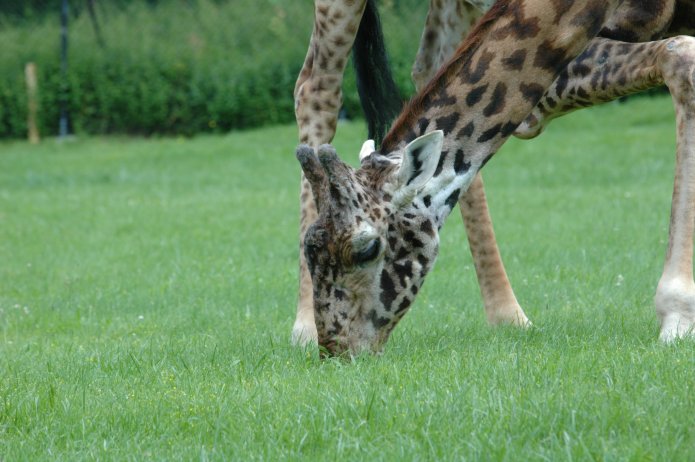 3695052720_b8875affc9_o