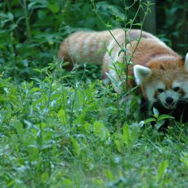 3695055002_25a9c44957_o