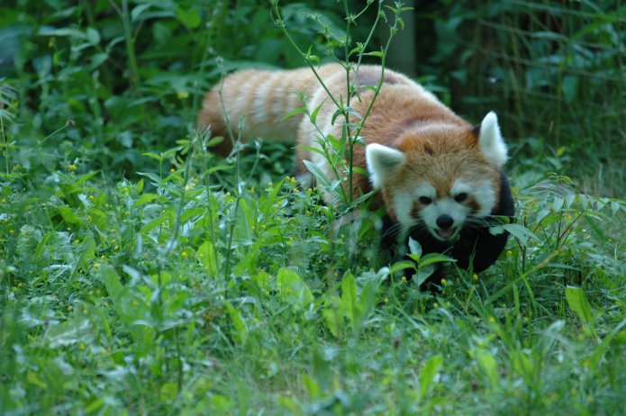 3695055002_25a9c44957_o