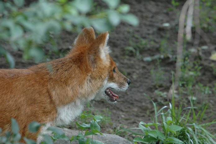 3695057828_1b7c37ce96_o