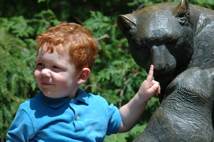 3695060582_0dc4ac92bf_o