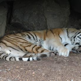 3695072814_5be37f95e1_o