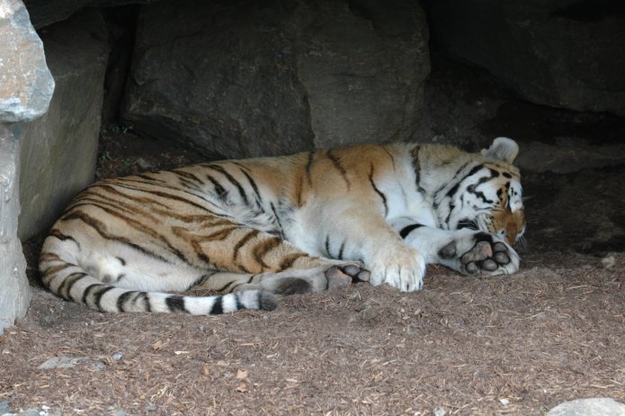 3695072814_5be37f95e1_o