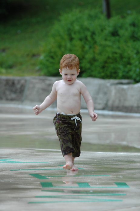 3695077320_164bbce90c_o