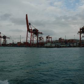 4108992401_0c058eff9f_o