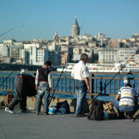 4109008705_385d1a386c_o