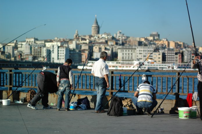 4109008705_385d1a386c_o