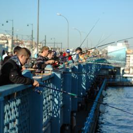 4109010315_19f31099fc_o