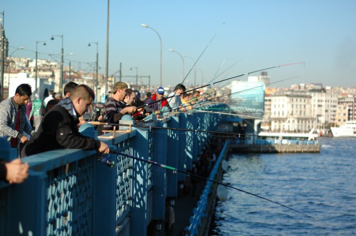 4109010315_19f31099fc_o