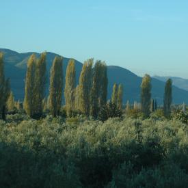 4109024641_a052c847d4_o