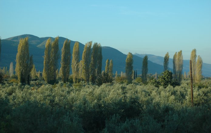 4109024641_a052c847d4_o