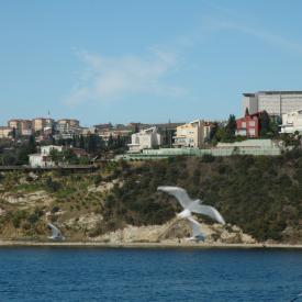 4109764412_41e770bcf5_o