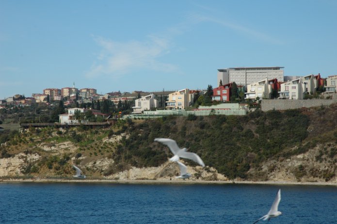 4109764412_41e770bcf5_o