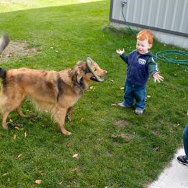 uncle-bob-s-farm-007