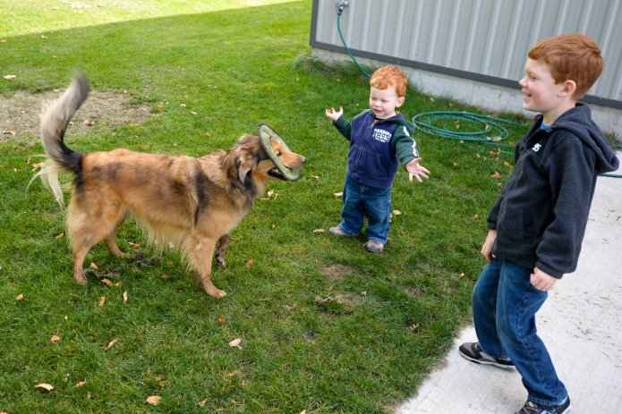 uncle-bob-s-farm-007