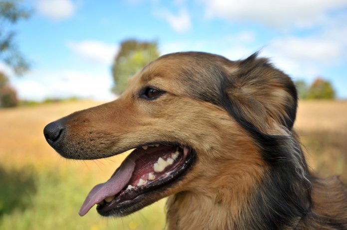 uncle-bob-s-farm-077