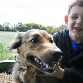 uncle-bob-s-farm-121