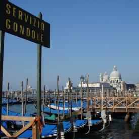 230496094_cc268bf628_o